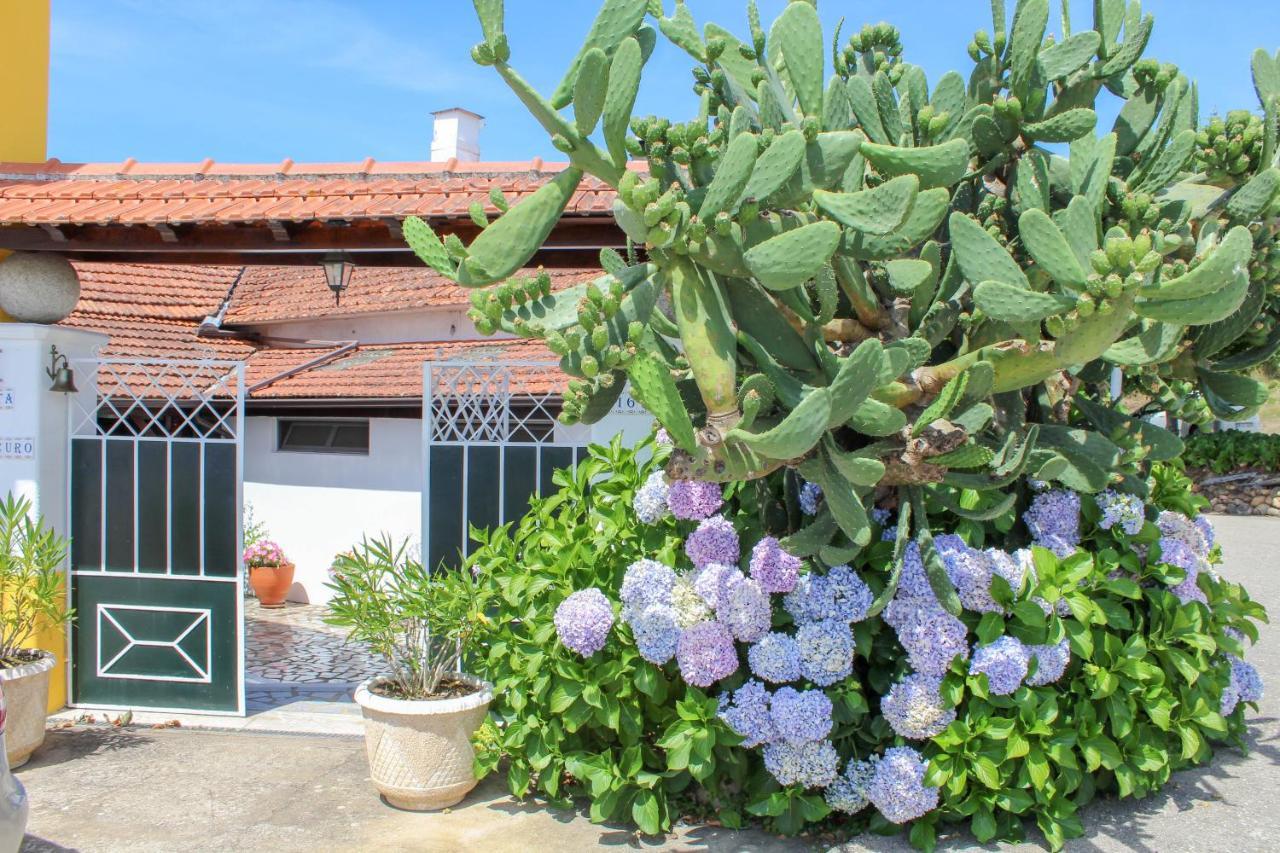 Hotel Quinta De Vale Escuro à Lousã Extérieur photo
